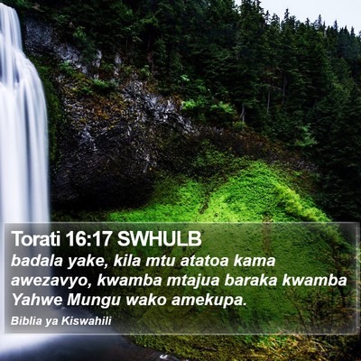 Torati 16:17 SWHULB Bible Verse Image