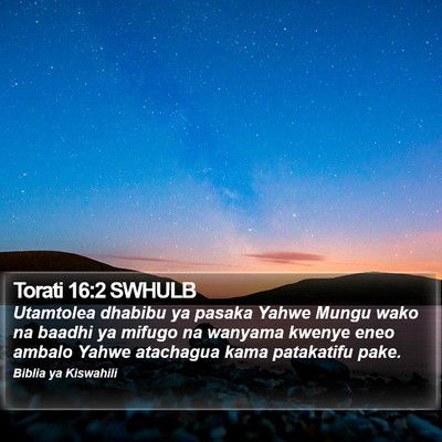 Torati 16:2 SWHULB Bible Verse Image