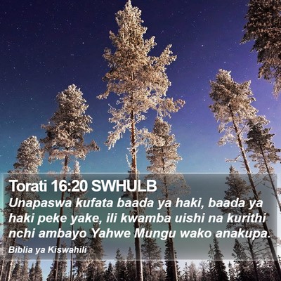 Torati 16:20 SWHULB Bible Verse Image