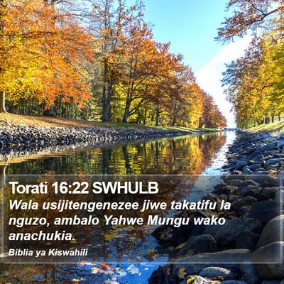 Torati 16:22 SWHULB Bible Verse Image