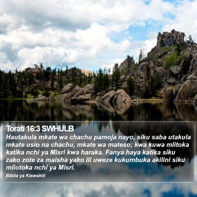 Torati 16:3 SWHULB Bible Verse Image