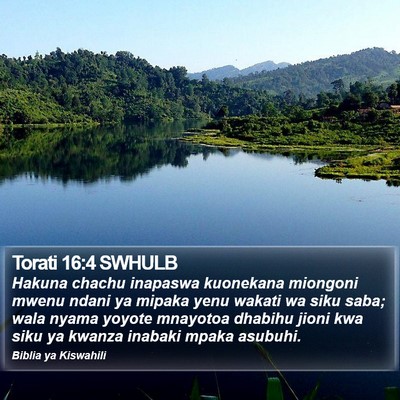 Torati 16:4 SWHULB Bible Verse Image