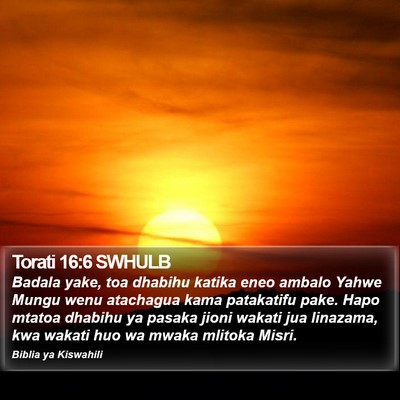 Torati 16:6 SWHULB Bible Verse Image