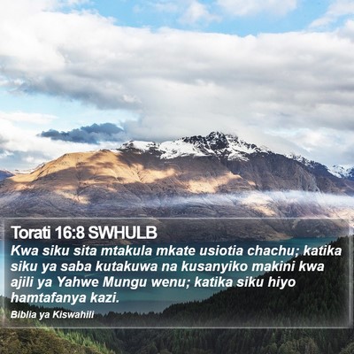 Torati 16:8 SWHULB Bible Verse Image