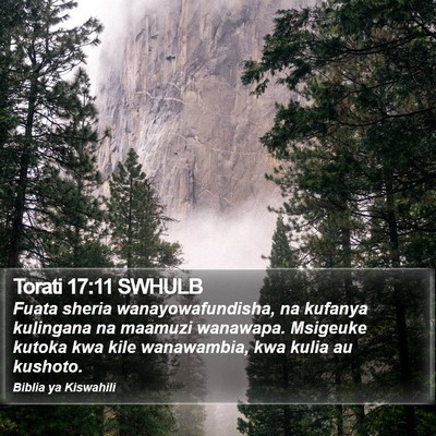 Torati 17:11 SWHULB Bible Verse Image