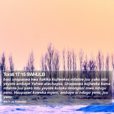 Torati 17:15 SWHULB Bible Verse Image