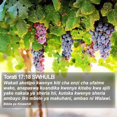 Torati 17:18 SWHULB Bible Verse Image
