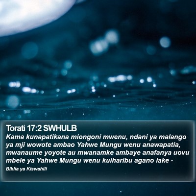 Torati 17:2 SWHULB Bible Verse Image