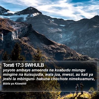 Torati 17:3 SWHULB Bible Verse Image