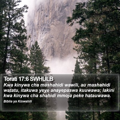 Torati 17:6 SWHULB Bible Verse Image