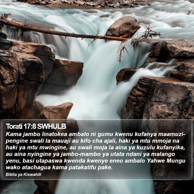 Torati 17:8 SWHULB Bible Verse Image