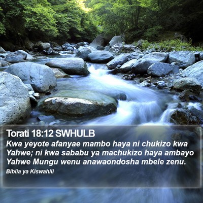 Torati 18:12 SWHULB Bible Verse Image