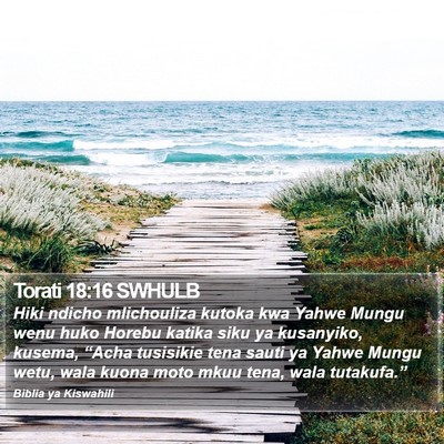 Torati 18:16 SWHULB Bible Verse Image