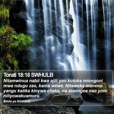 Torati 18:18 SWHULB Bible Verse Image