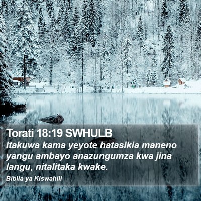 Torati 18:19 SWHULB Bible Verse Image