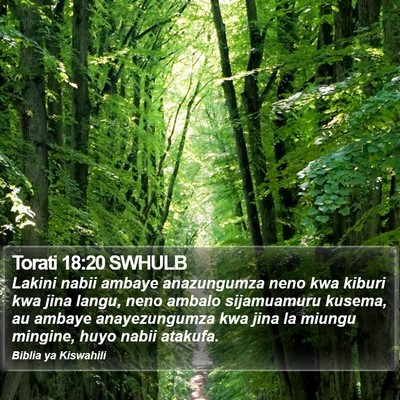 Torati 18:20 SWHULB Bible Verse Image
