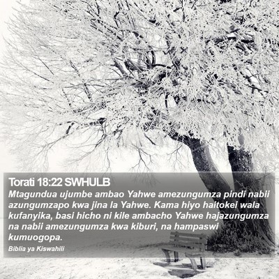 Torati 18:22 SWHULB Bible Verse Image