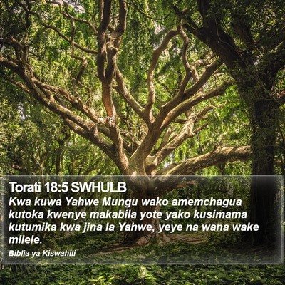 Torati 18:5 SWHULB Bible Verse Image