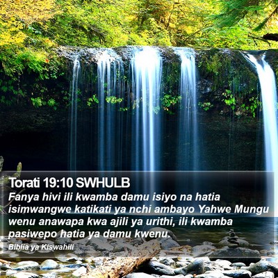Torati 19:10 SWHULB Bible Verse Image