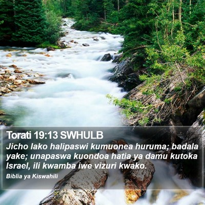 Torati 19:13 SWHULB Bible Verse Image