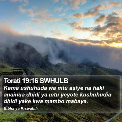 Torati 19:16 SWHULB Bible Verse Image