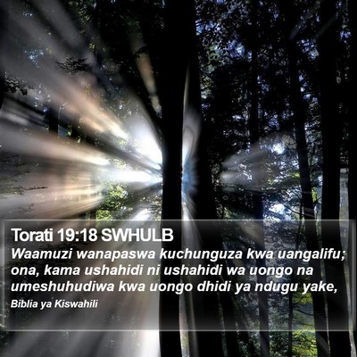 Torati 19:18 SWHULB Bible Verse Image