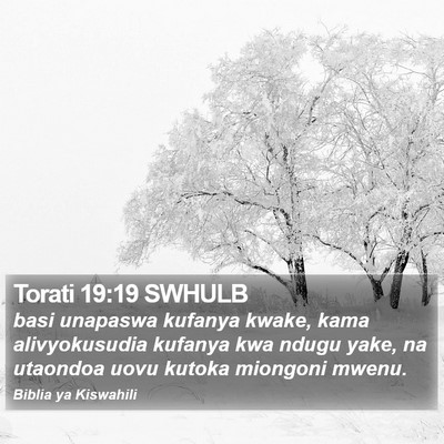 Torati 19:19 SWHULB Bible Verse Image