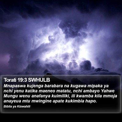 Torati 19:3 SWHULB Bible Verse Image