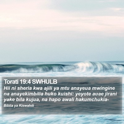 Torati 19:4 SWHULB Bible Verse Image