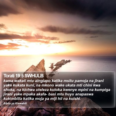 Torati 19:5 SWHULB Bible Verse Image
