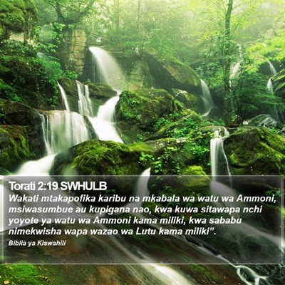 Torati 2:19 SWHULB Bible Verse Image