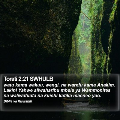 Torati 2:21 SWHULB Bible Verse Image