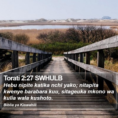 Torati 2:27 SWHULB Bible Verse Image