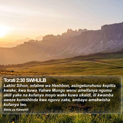 Torati 2:30 SWHULB Bible Verse Image