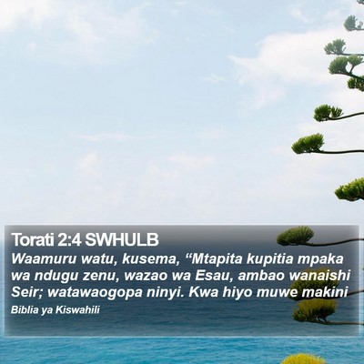Torati 2:4 SWHULB Bible Verse Image