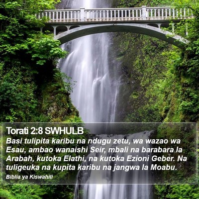 Torati 2:8 SWHULB Bible Verse Image