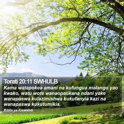 Torati 20:11 SWHULB Bible Verse Image