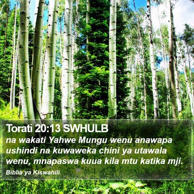 Torati 20:13 SWHULB Bible Verse Image