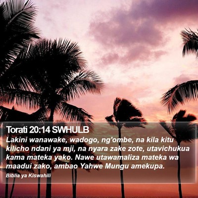 Torati 20:14 SWHULB Bible Verse Image