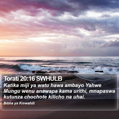 Torati 20:16 SWHULB Bible Verse Image