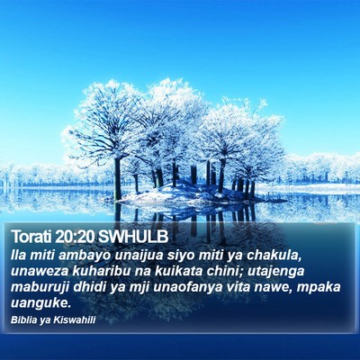 Torati 20:20 SWHULB Bible Verse Image