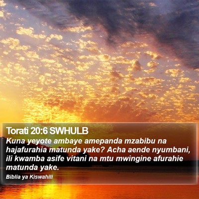 Torati 20:6 SWHULB Bible Verse Image