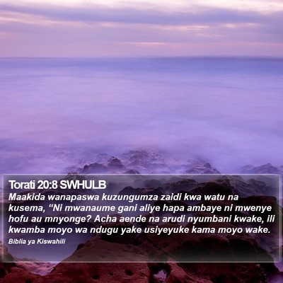 Torati 20:8 SWHULB Bible Verse Image