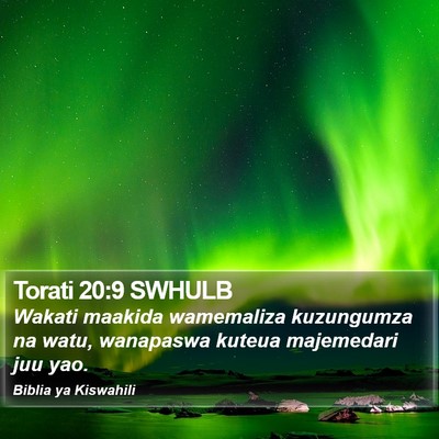Torati 20:9 SWHULB Bible Verse Image