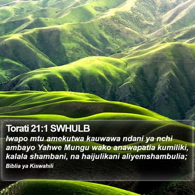 Torati 21:1 SWHULB Bible Verse Image