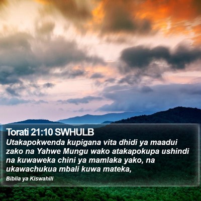 Torati 21:10 SWHULB Bible Verse Image