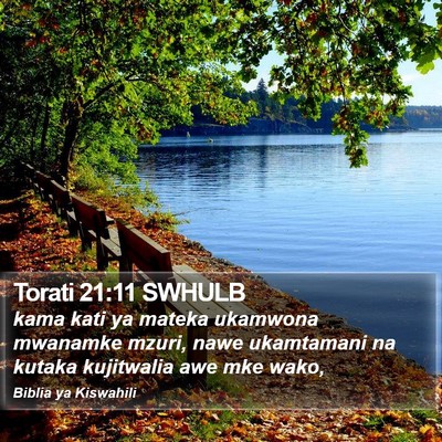 Torati 21:11 SWHULB Bible Verse Image