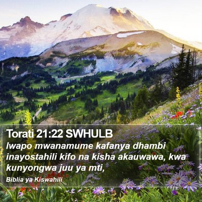 Torati 21:22 SWHULB Bible Verse Image