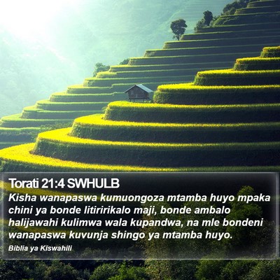 Torati 21:4 SWHULB Bible Verse Image