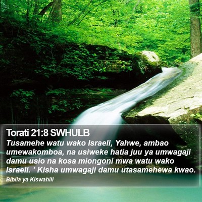 Torati 21:8 SWHULB Bible Verse Image